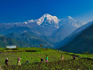 region-himalaya