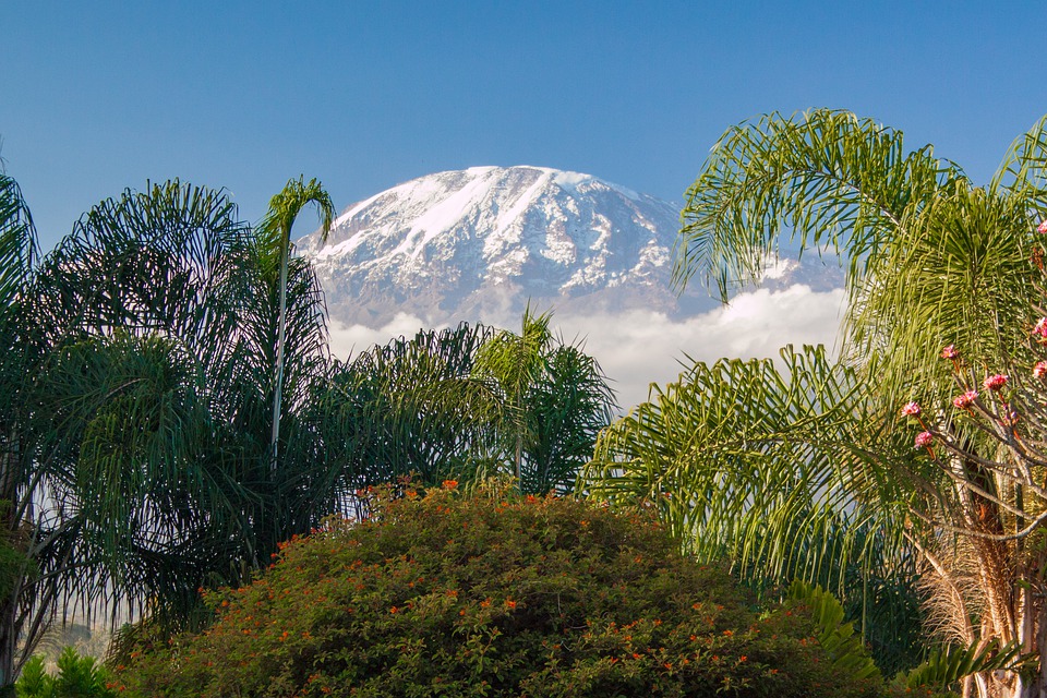 ascension kilimandjaro